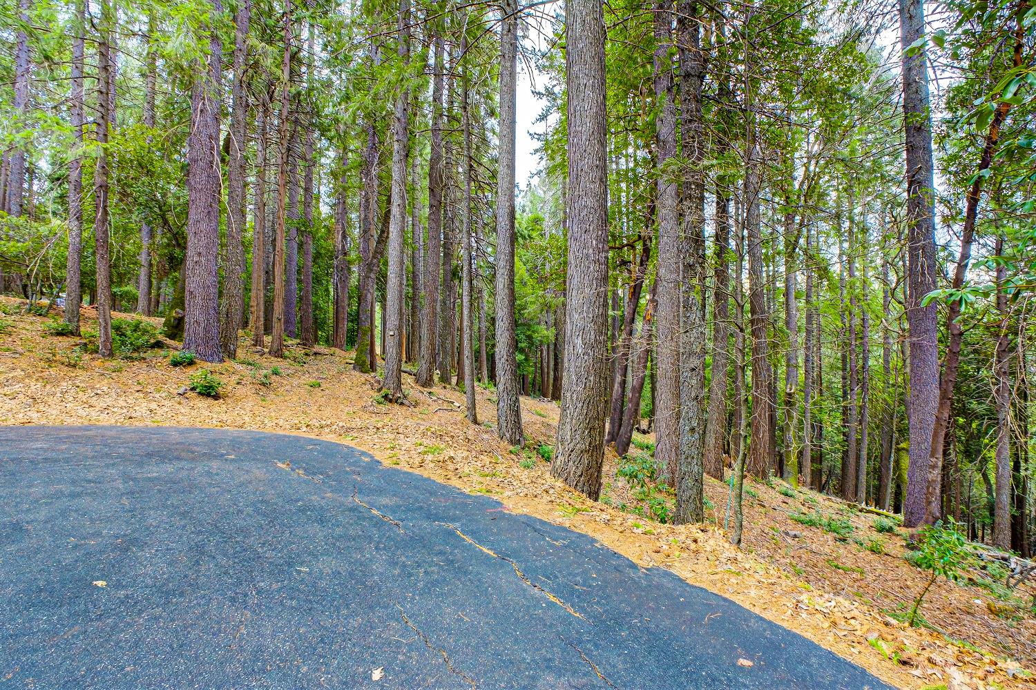 6300 Merry Way Clipper Mills, CA 95930 - Photo 13 of 69 a view of backyard with green space