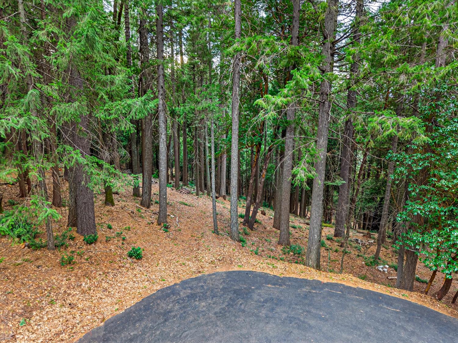 6300 Merry Way Clipper Mills, CA 95930 - Photo 17 of 69