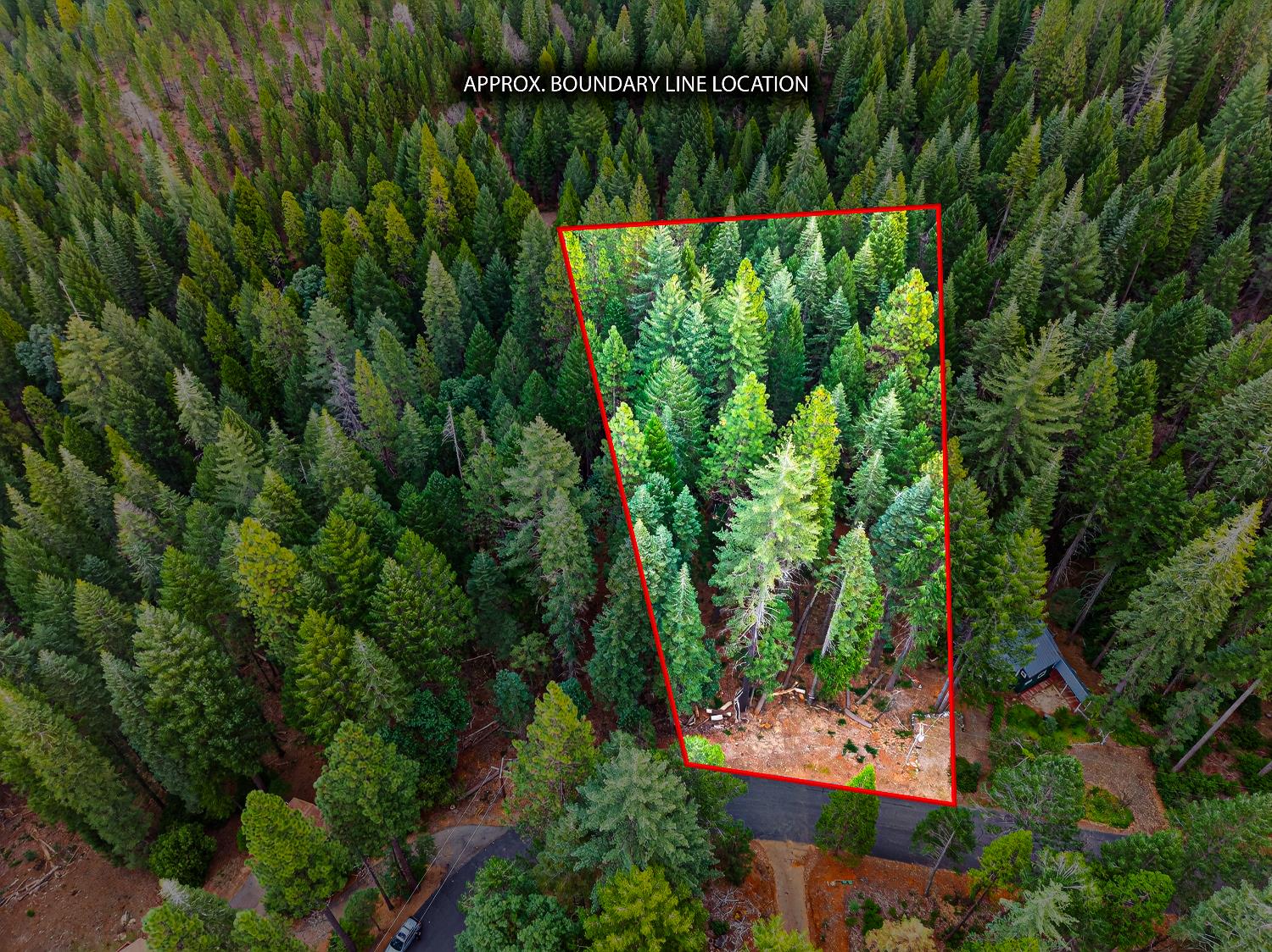 6300 Merry Way Clipper Mills, CA 95930 - Photo 20 of 69