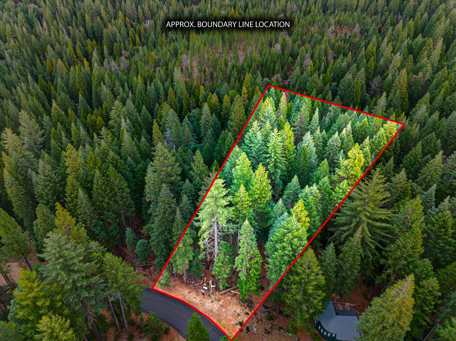 6300 Merry Way Clipper Mills, CA 95930 - Photo 2 of 69