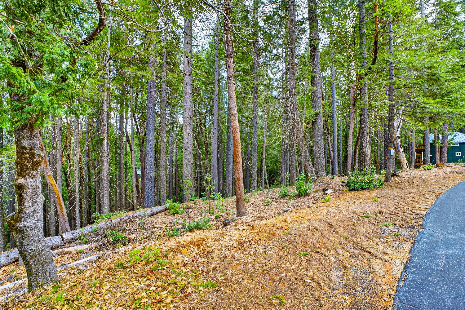 6300 Merry Way Clipper Mills, CA 95930 - Photo 21 of 69