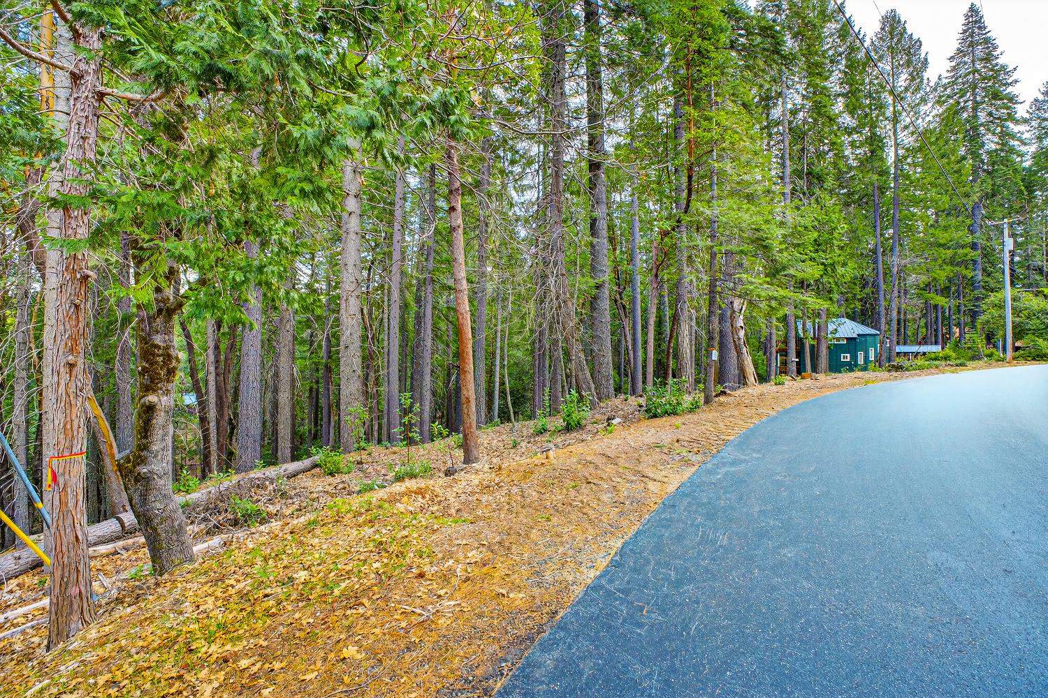 6300 Merry Way Clipper Mills, CA 95930 - Photo 24 of 69