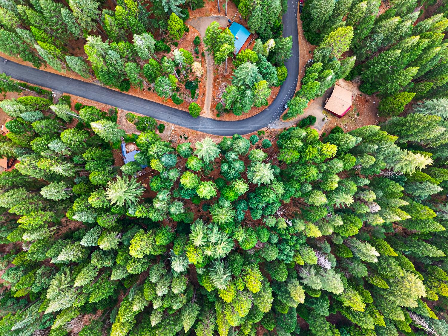 6300 Merry Way Clipper Mills, CA 95930 - Photo 26 of 69