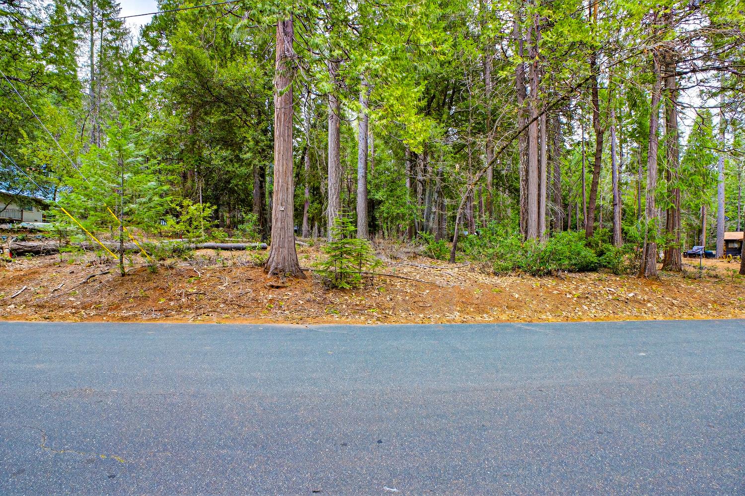 6300 Merry Way Clipper Mills, CA 95930 - Photo 29 of 69 a view of a house with backyard and trees