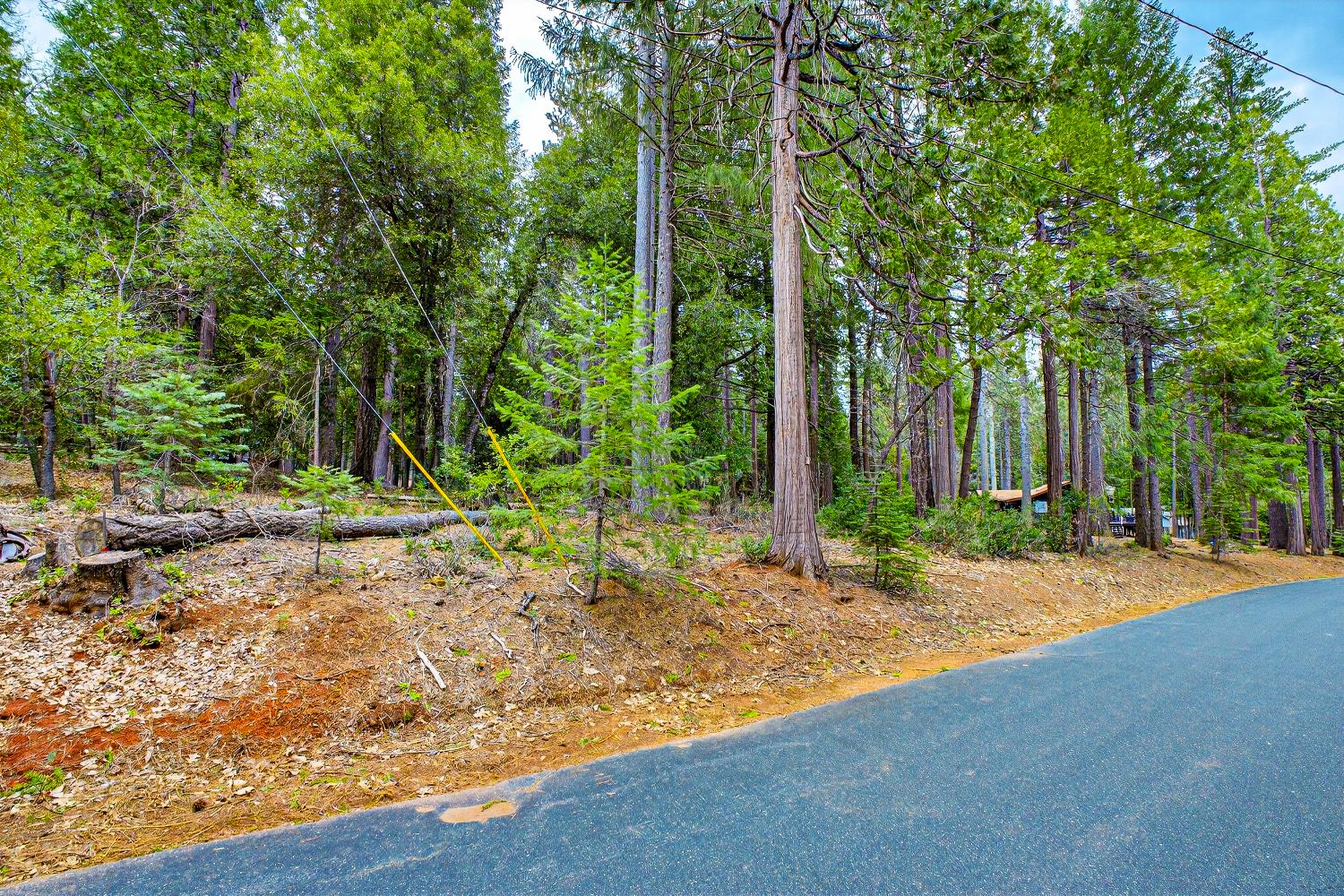 6300 Merry Way Clipper Mills, CA 95930 - Photo 30 of 69 a wooden bench with trees in the background