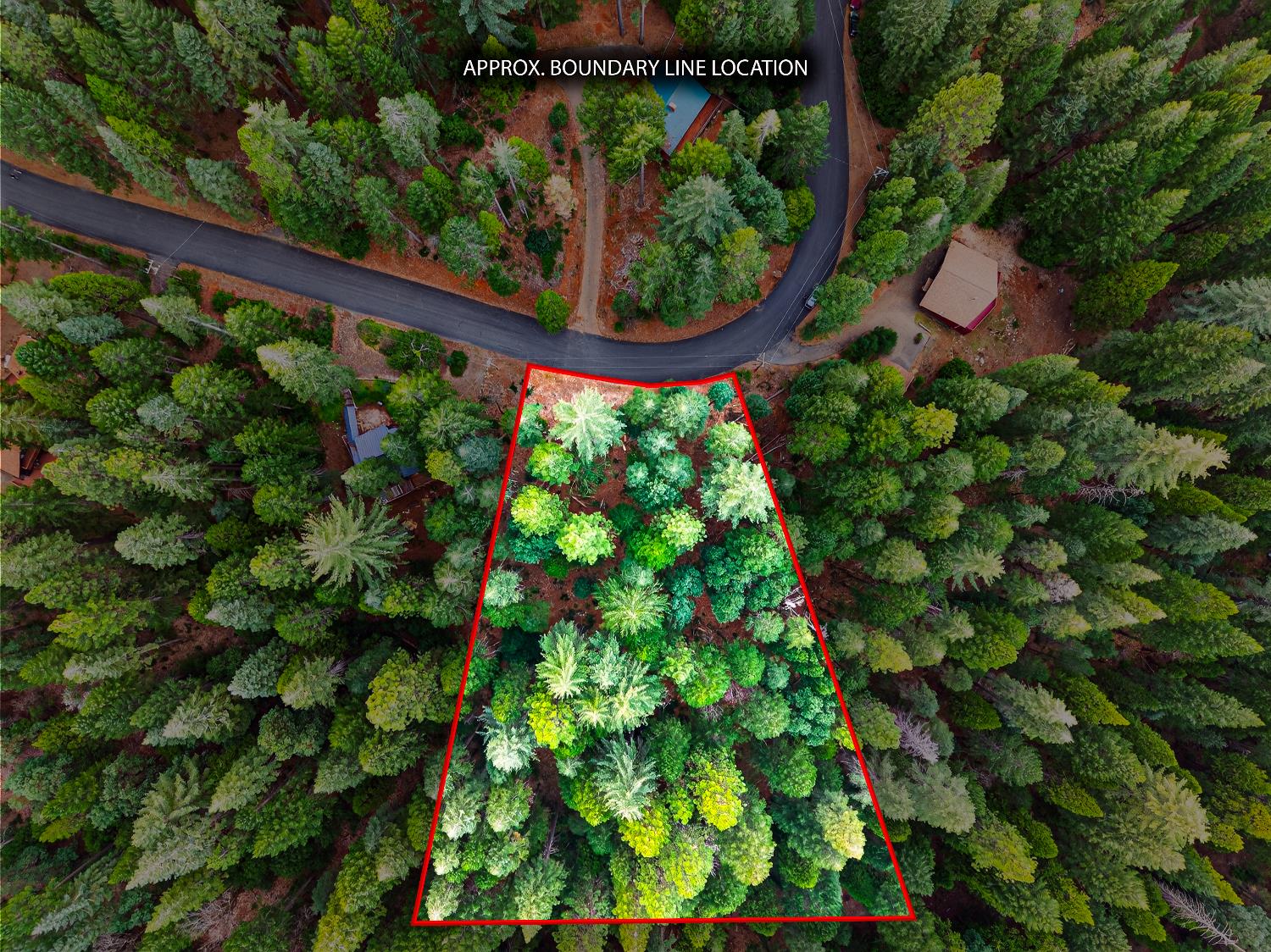 6300 Merry Way Clipper Mills, CA 95930 - Photo 3 of 69 a view of a tree in a garden