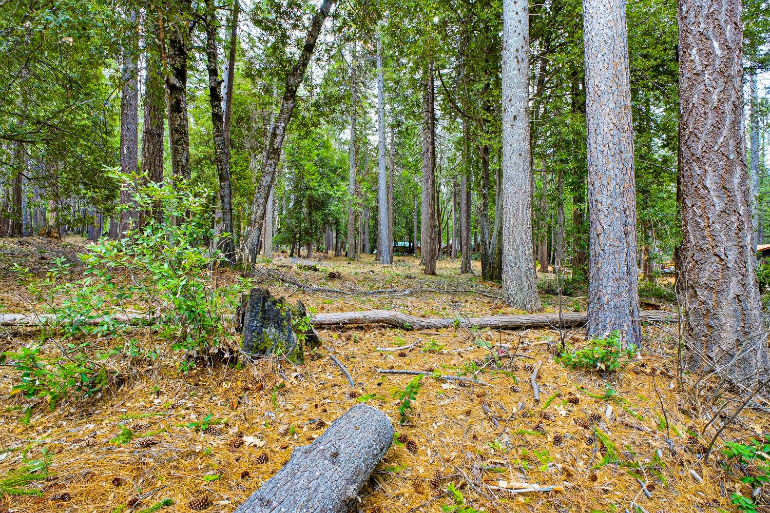 6300 Merry Way Clipper Mills, CA 95930 - Photo 32 of 69