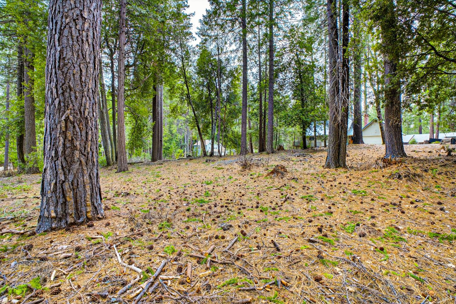 6300 Merry Way Clipper Mills, CA 95930 - Photo 34 of 69