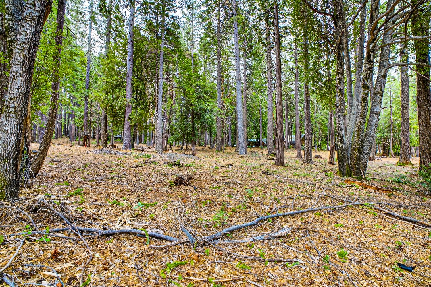 6300 Merry Way Clipper Mills, CA 95930 - Photo 36 of 69