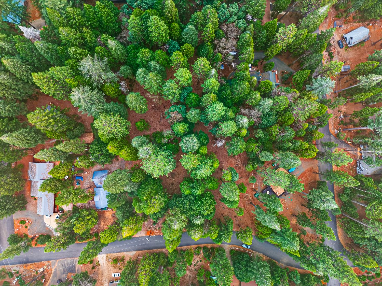 6300 Merry Way Clipper Mills, CA 95930 - Photo 40 of 69