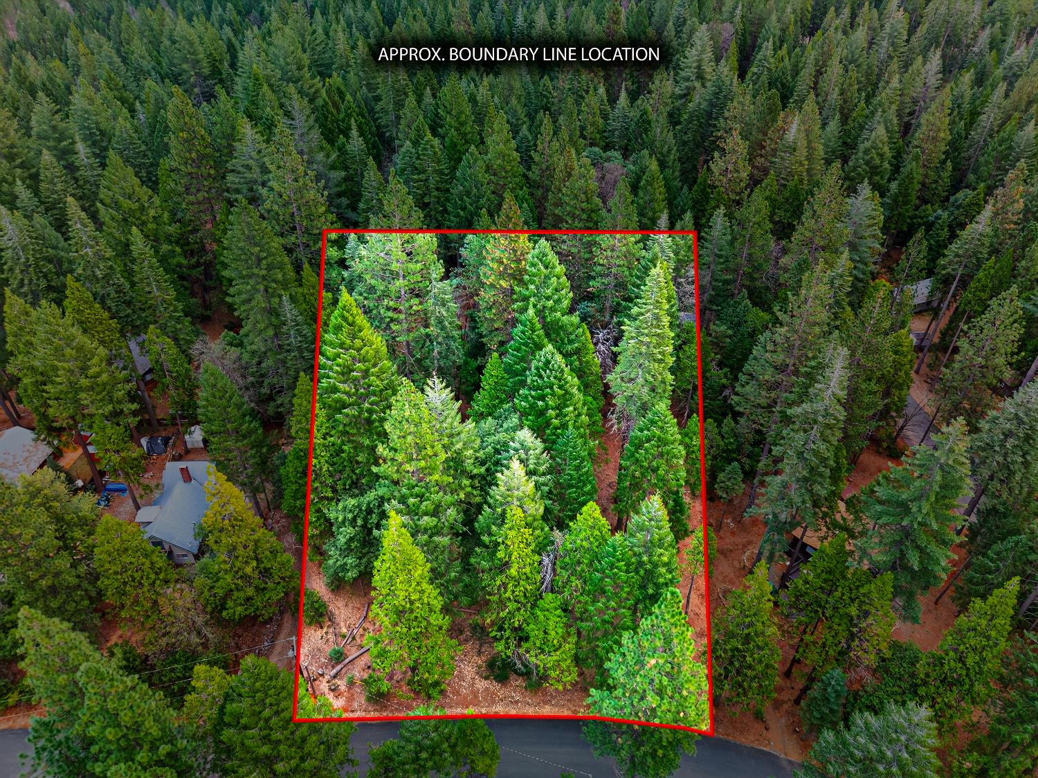 6300 Merry Way Clipper Mills, CA 95930 - Photo 41 of 69