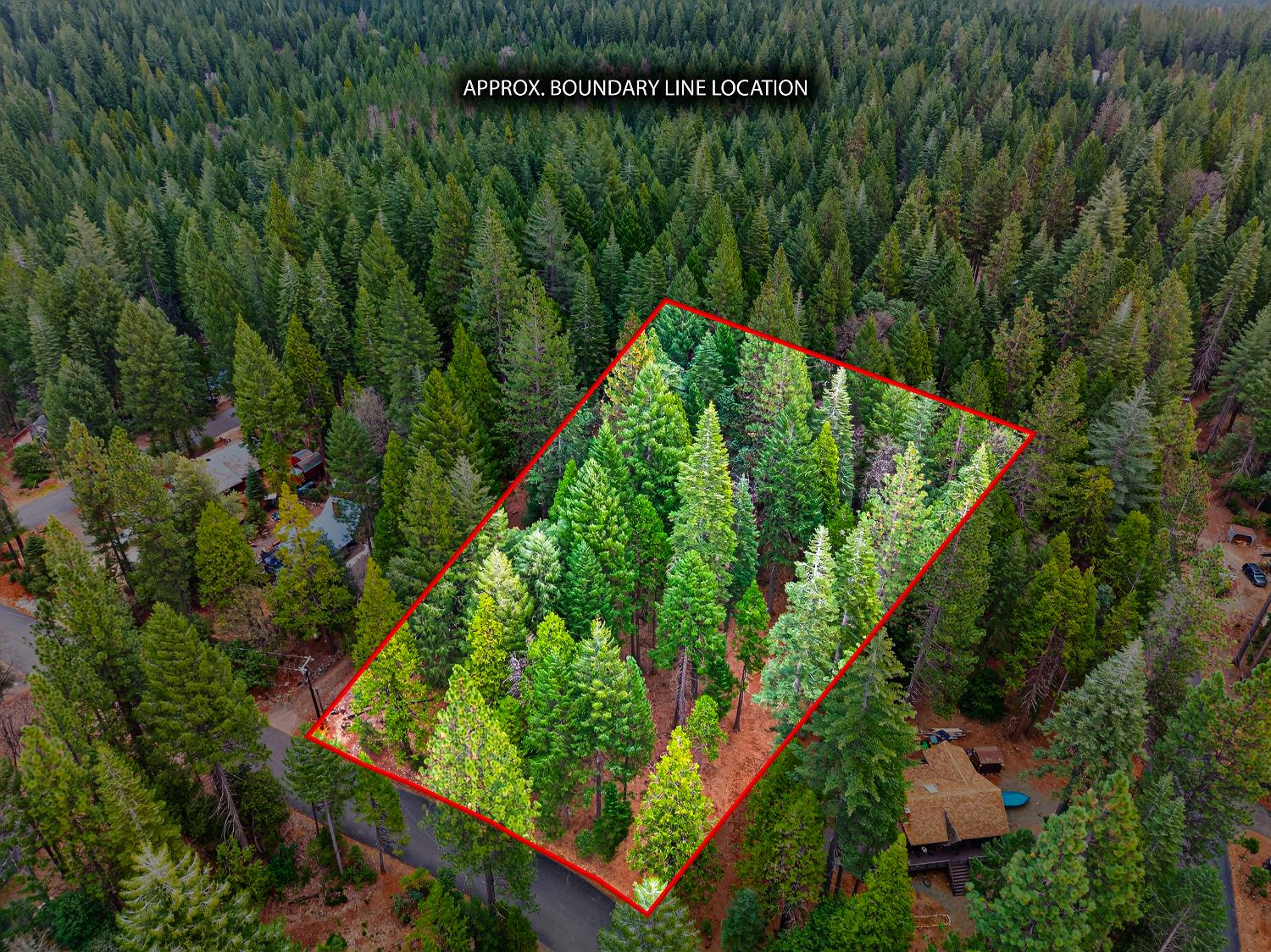 6300 Merry Way Clipper Mills, CA 95930 - Photo 42 of 69