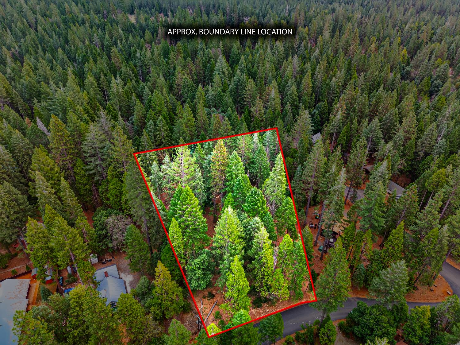 6300 Merry Way Clipper Mills, CA 95930 - Photo 43 of 69