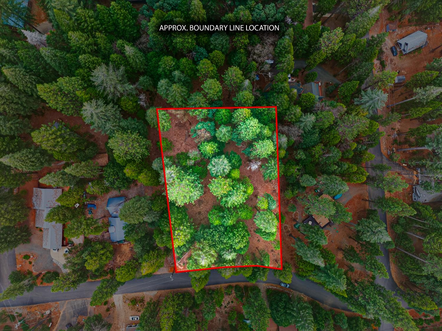 6300 Merry Way Clipper Mills, CA 95930 - Photo 44 of 69 an aerial view of a yard with plants