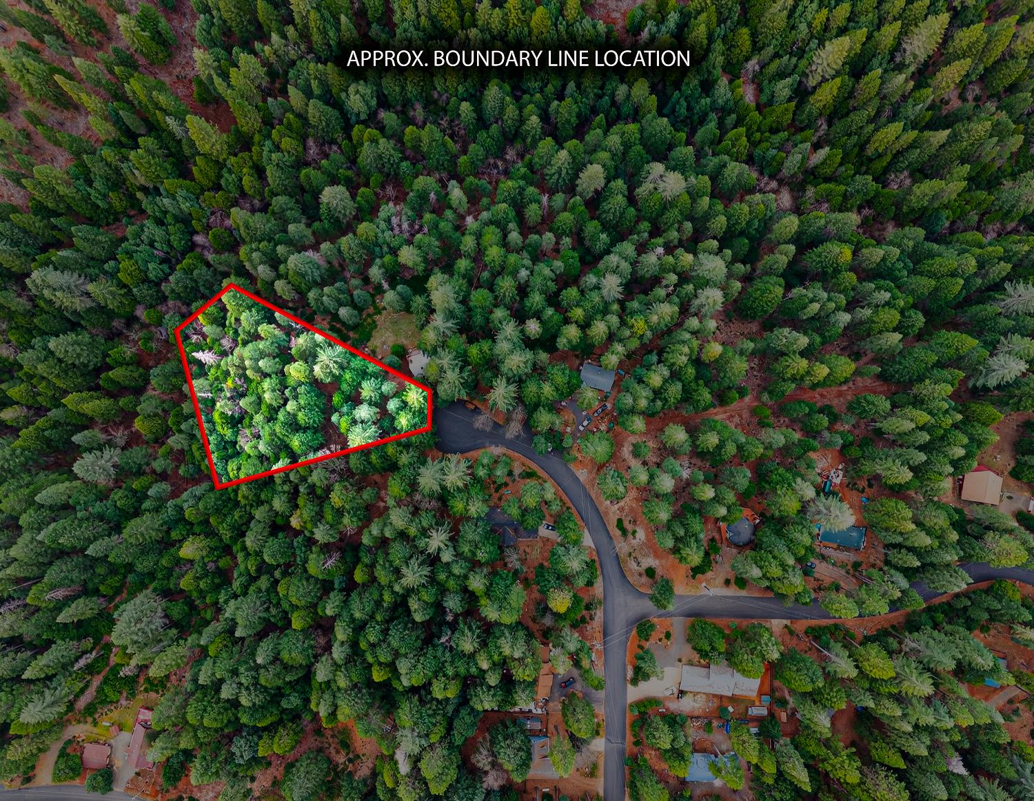 6300 Merry Way Clipper Mills, CA 95930 - Photo 45 of 69