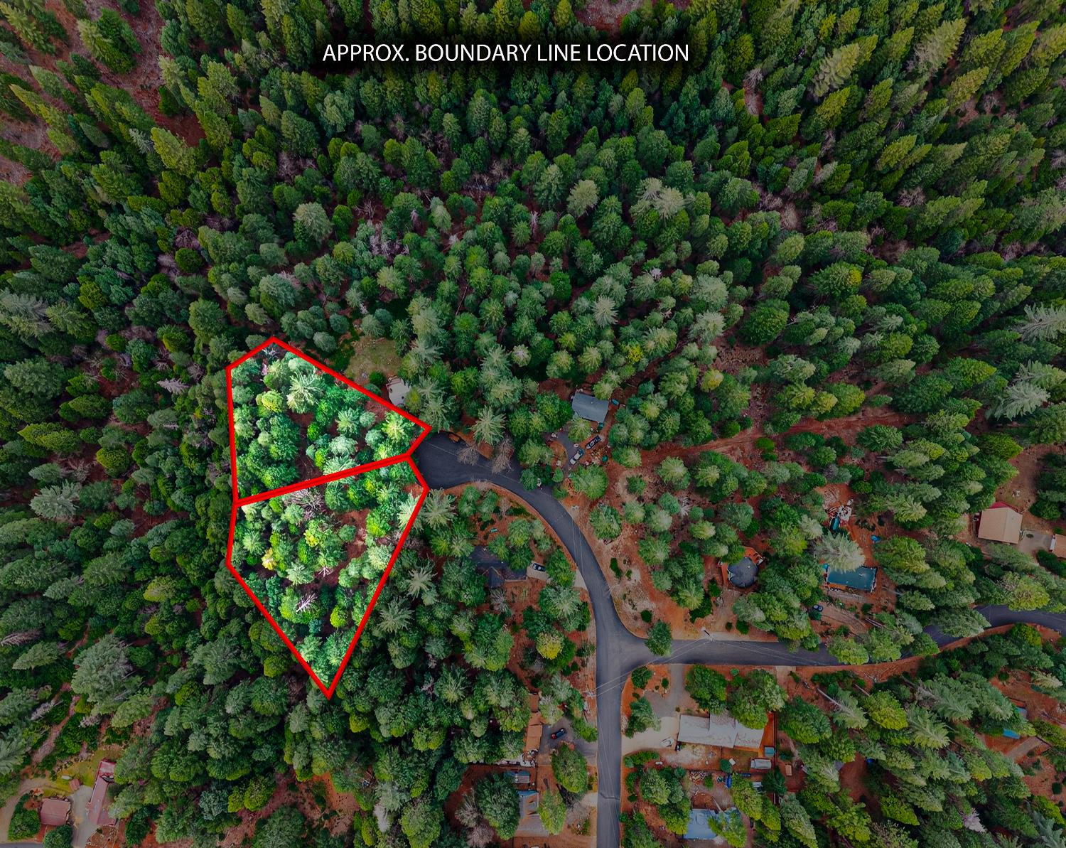 6300 Merry Way Clipper Mills, CA 95930 - Photo 46 of 69