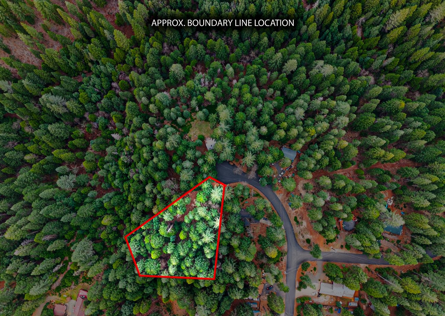 6300 Merry Way Clipper Mills, CA 95930 - Photo 47 of 69