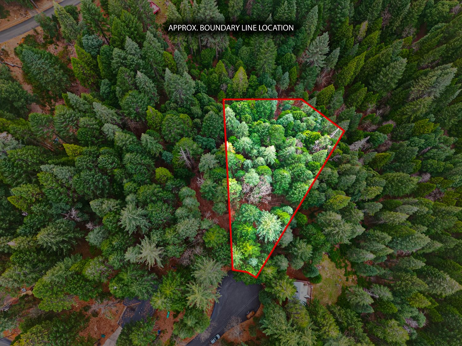 6300 Merry Way Clipper Mills, CA 95930 - Photo 48 of 69