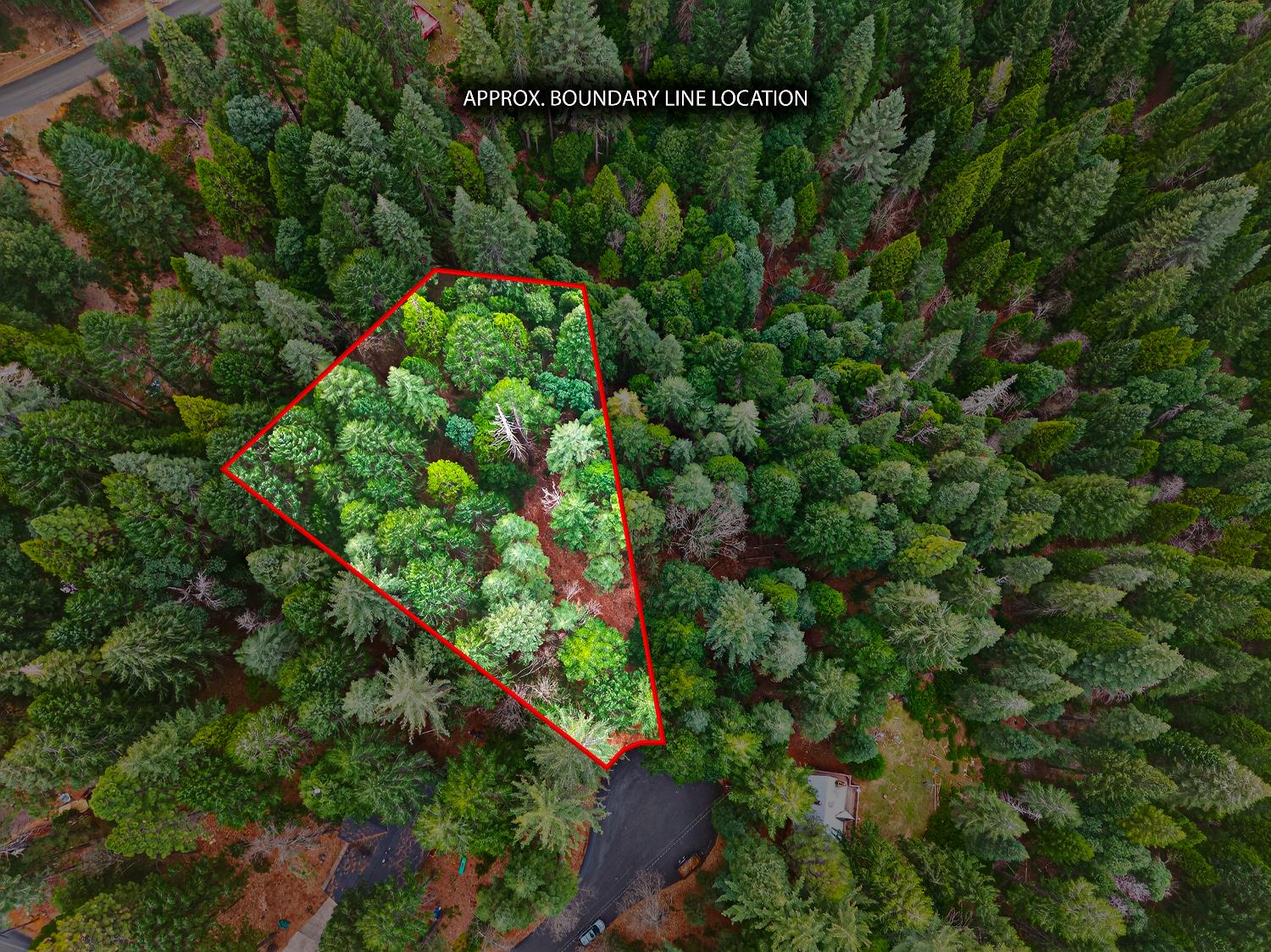 6300 Merry Way Clipper Mills, CA 95930 - Photo 49 of 69