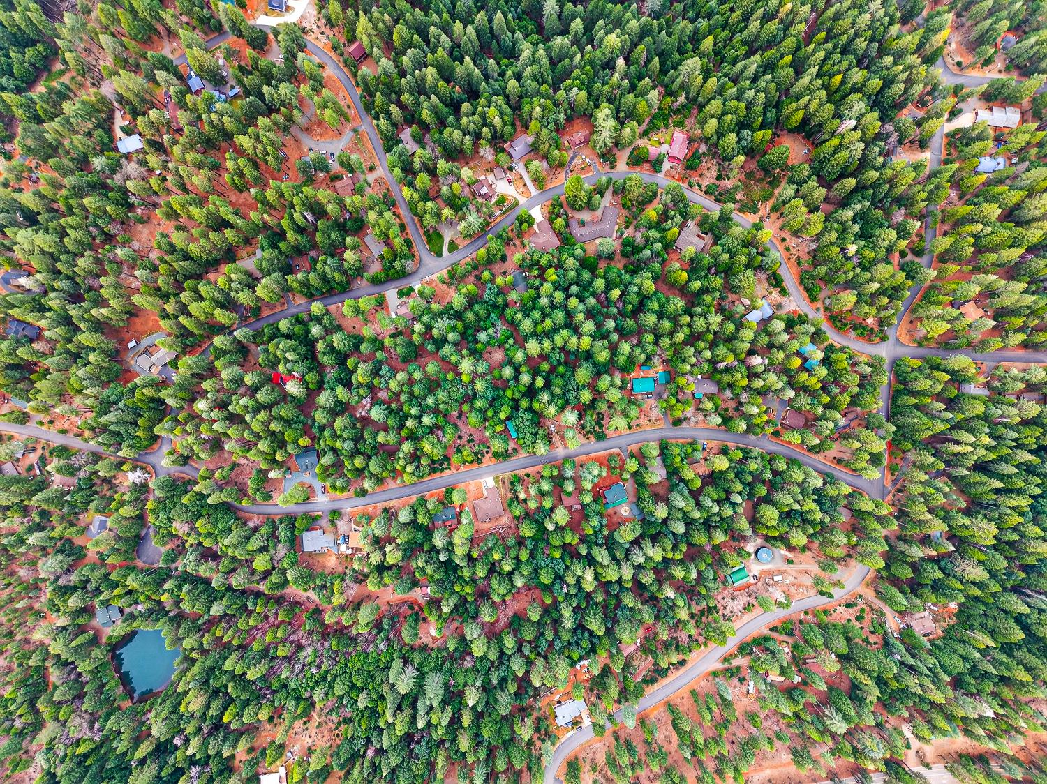 6300 Merry Way Clipper Mills, CA 95930 - Photo 58 of 69