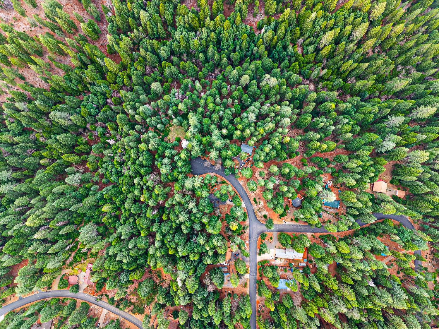 6300 Merry Way Clipper Mills, CA 95930 - Photo 67 of 69