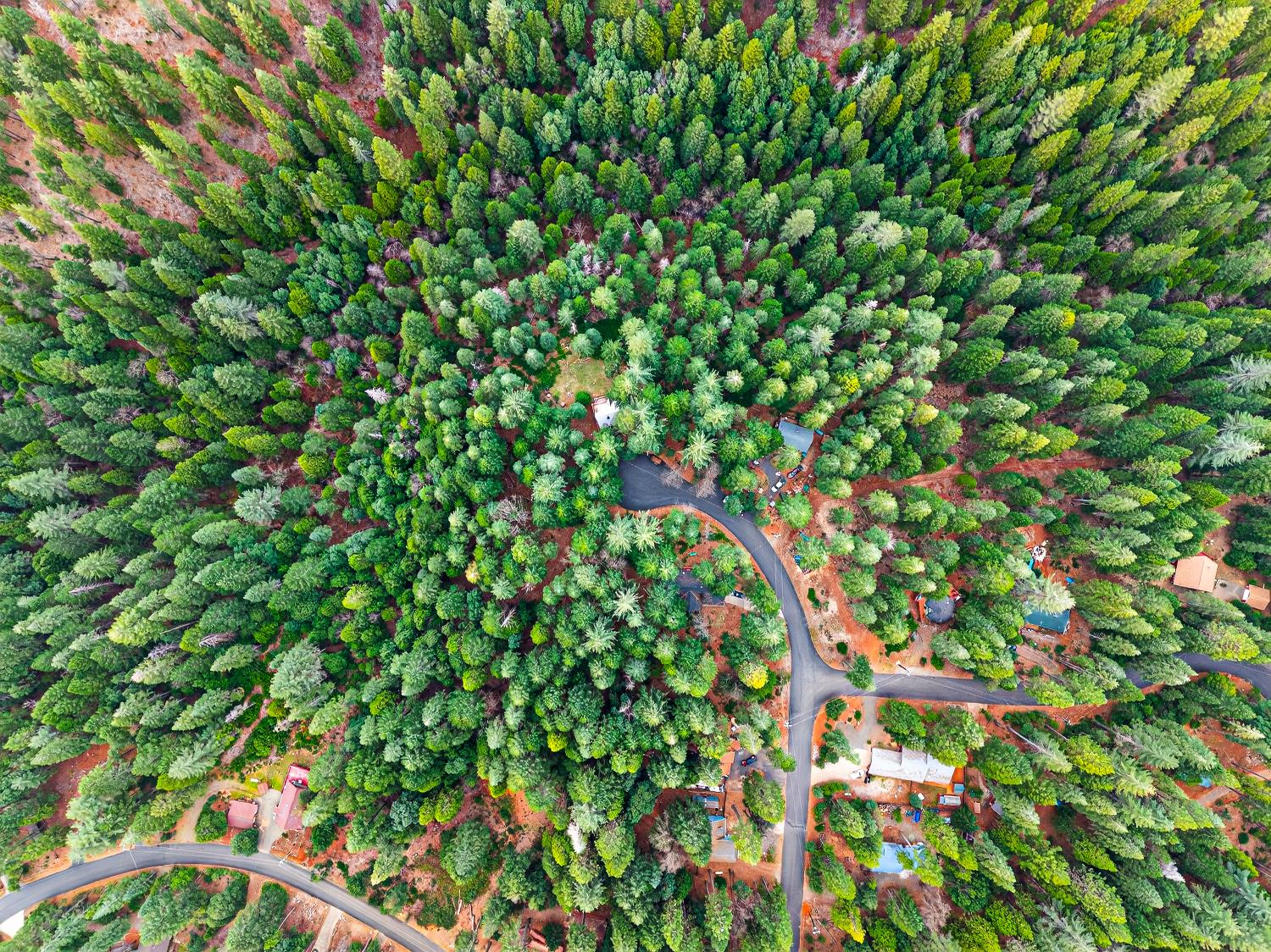 6300 Merry Way Clipper Mills, CA 95930 - Photo 68 of 69 a backyard of a house