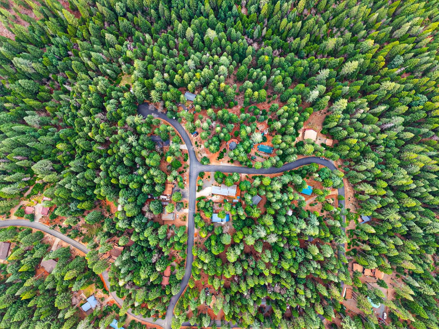 6300 Merry Way Clipper Mills, CA 95930 - Photo 69 of 69 a backyard of a house