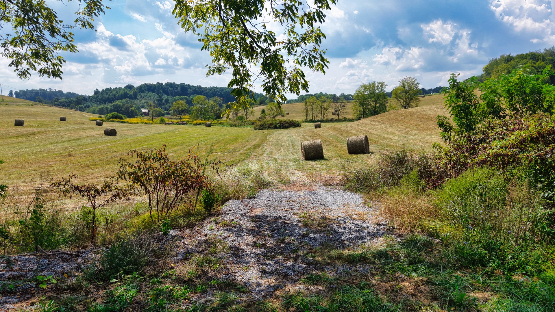 0 Mitchell Ridge Road Jonesborough, TN 37659 - Photo 79 of 82 Gallery Image 79