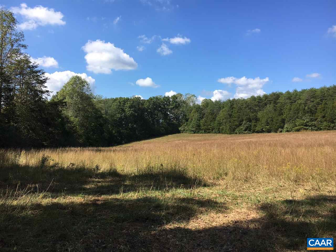 Parcel E Durrett Ridge Road Earlysville, VA 22936 - Photo 3 of 16 a view of a lake from a yard