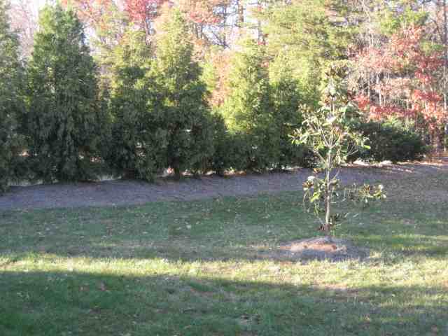 617 Delward Way Greer, SC 29651 - Photo 9 of 10
