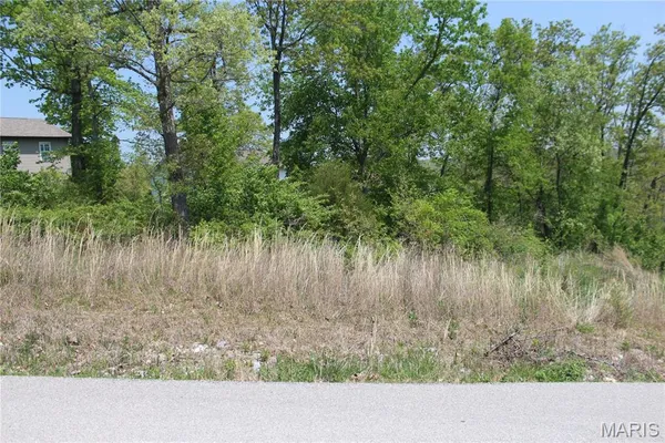 $9,900 | 0 Trace Drive, St. Robert, MO 65584