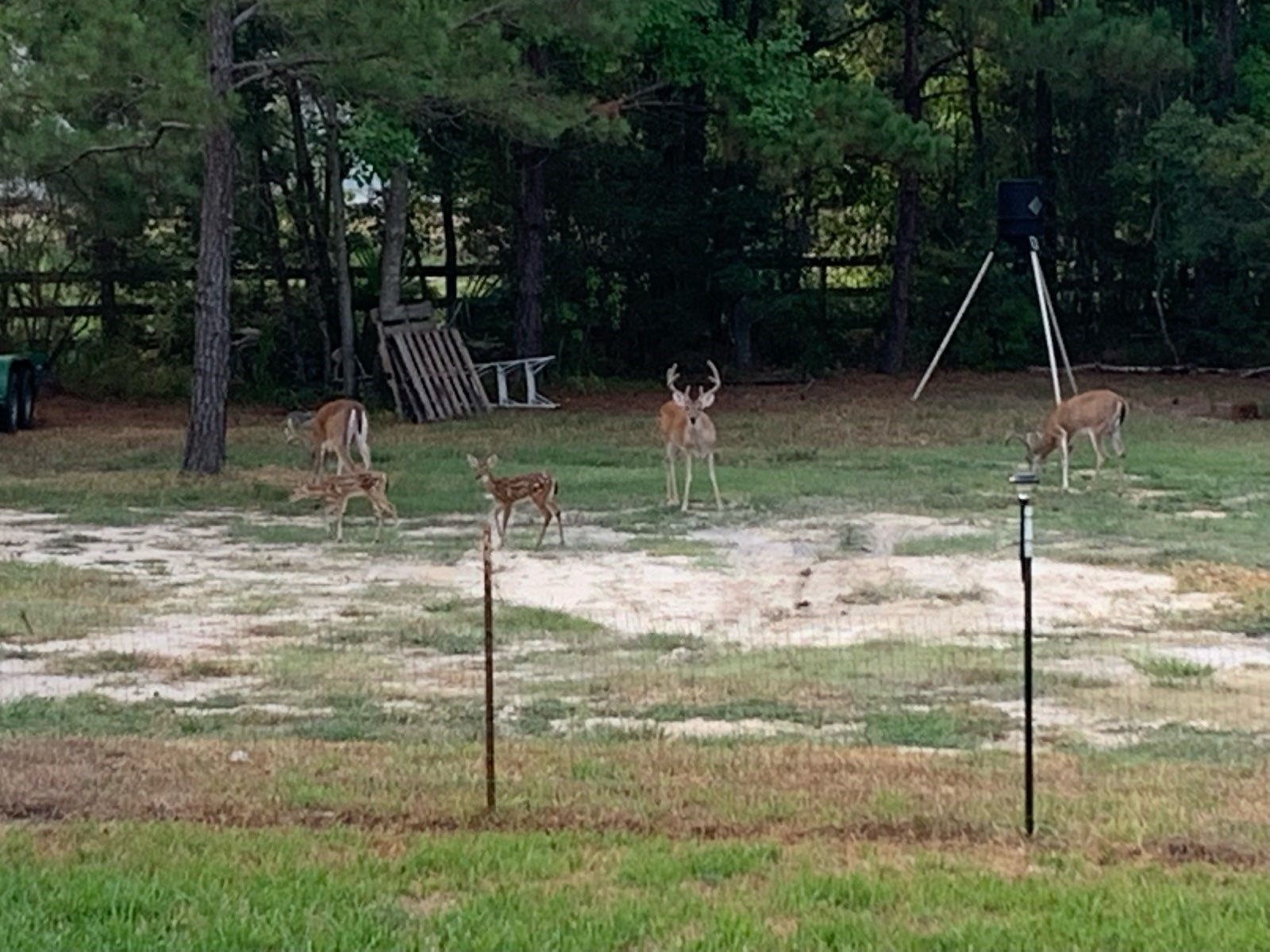 10366 Happy Trail Conroe, TX 77384 - Photo 33 of 37