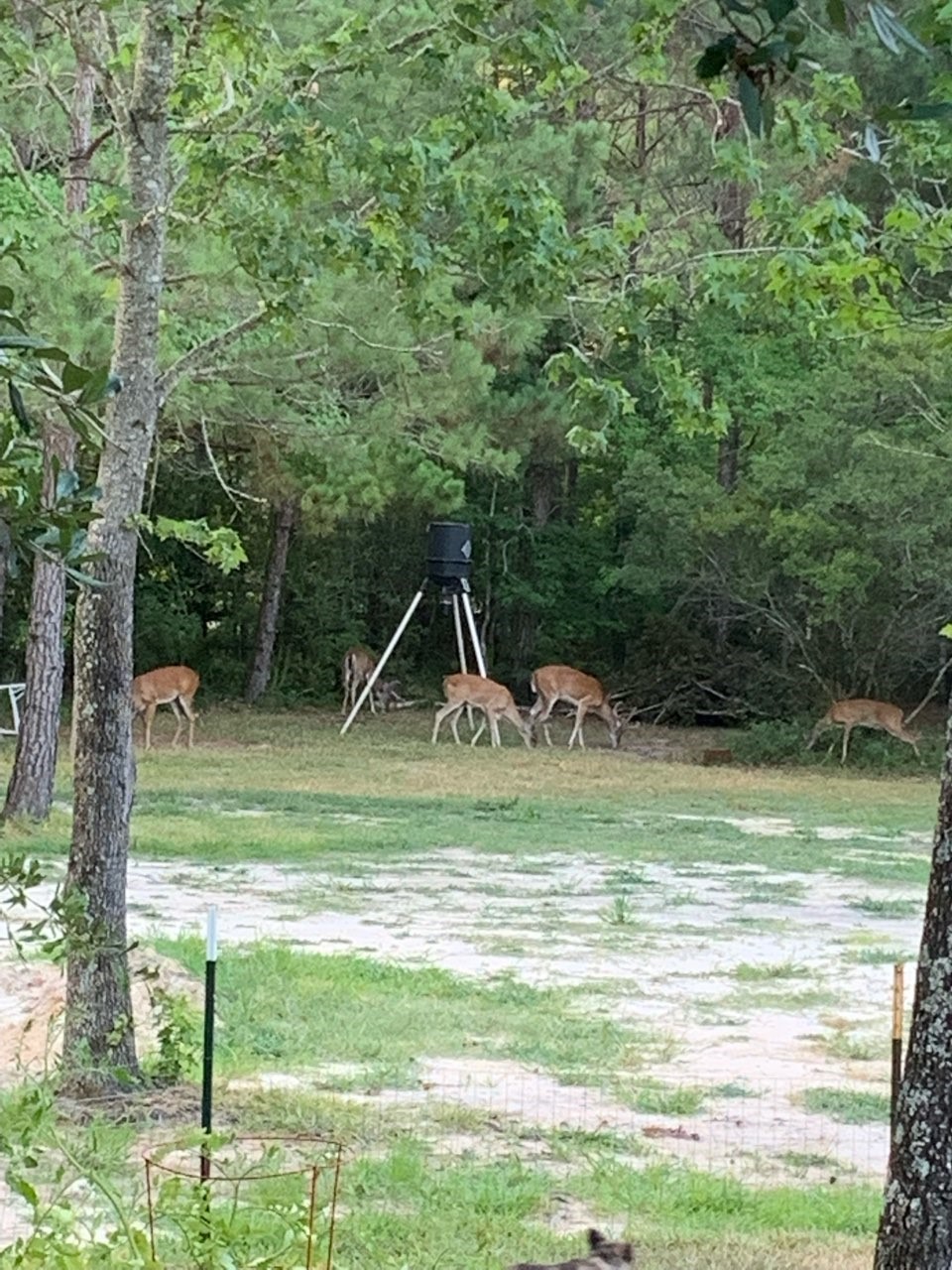 10366 Happy Trail Conroe, TX 77384 - Photo 34 of 37