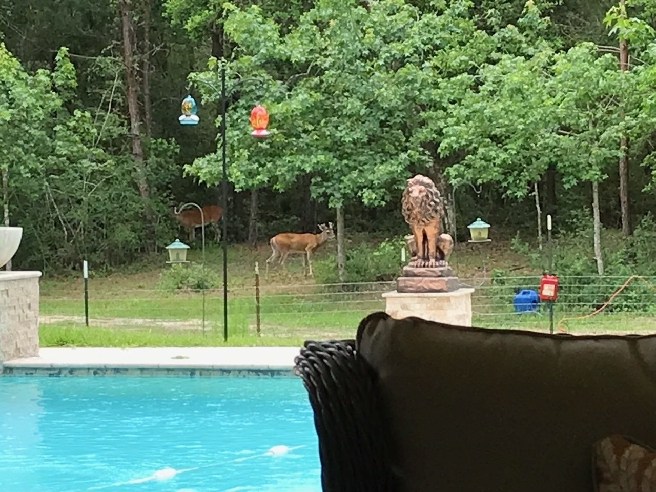 10366 Happy Trail Conroe, TX 77384 - Photo 35 of 37