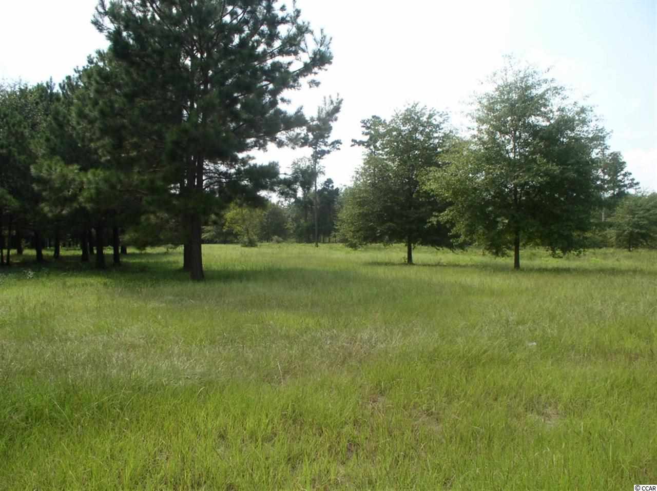 Lot 4 Red Bluff Road Loris, SC 29569 - Photo 1 of 15 Gallery Image 1