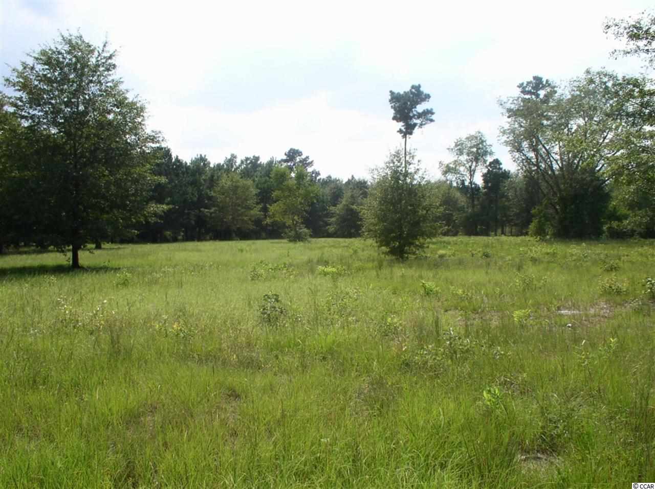 Lot 4 Red Bluff Road Loris, SC 29569 - Photo 2 of 15 Gallery Image 2