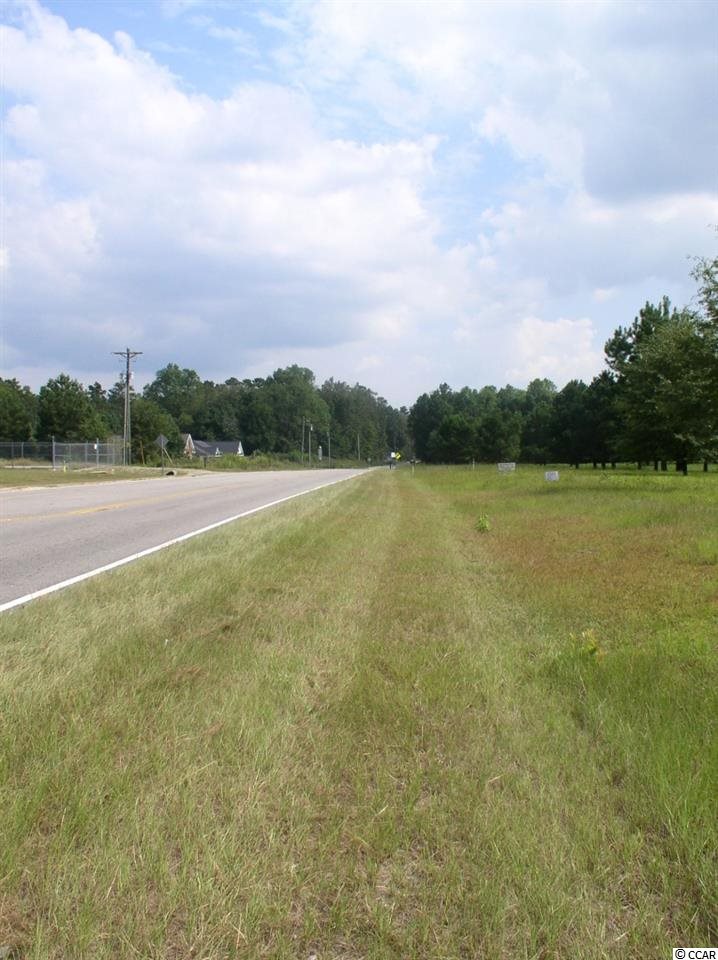 Lot 4 Red Bluff Road Loris, SC 29569 - Photo 13 of 15 Gallery Image 13