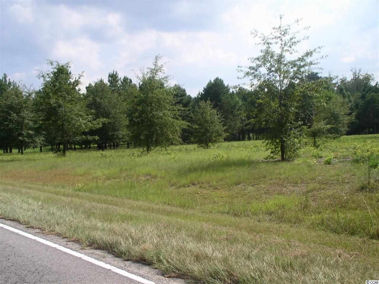 Lot 4 Red Bluff Road Loris, SC 29569 - Photo 14 of 15 Gallery Image 14