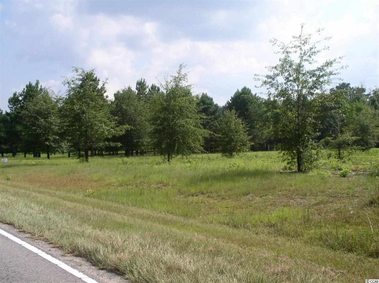 Lot 4 Red Bluff Road Loris, SC 29569 - Photo 15 of 15 Gallery Image 15