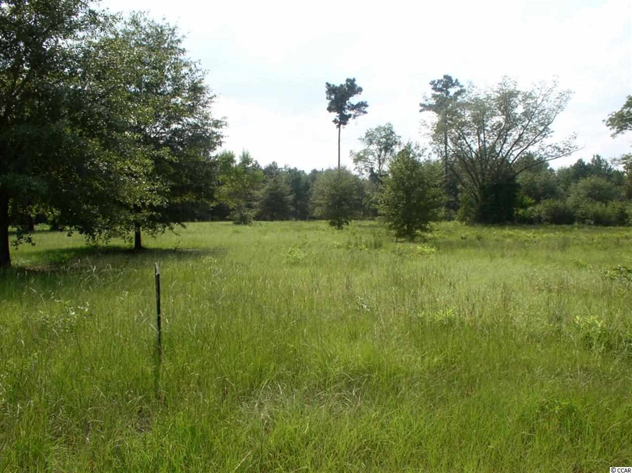 Lot 4 Red Bluff Road Loris, SC 29569 - Photo 3 of 15 Gallery Image 3