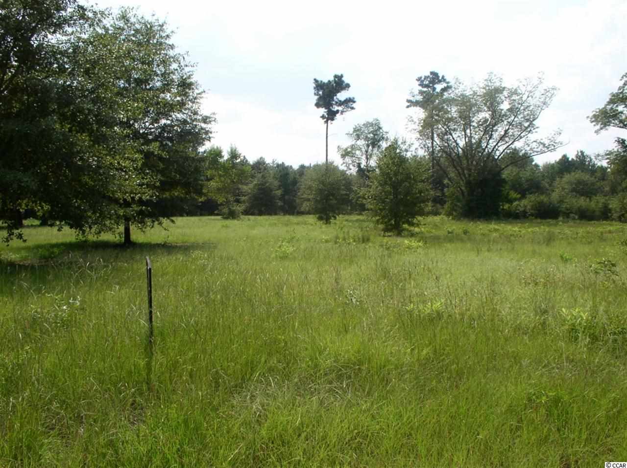 Lot 4 Red Bluff Road Loris, SC 29569 - Photo 4 of 15 Gallery Image 4