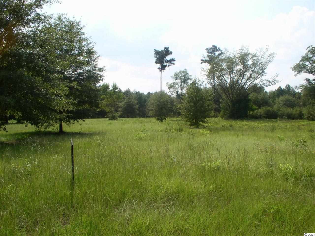 Lot 4 Red Bluff Road Loris, SC 29569 - Photo 5 of 15 Gallery Image 5