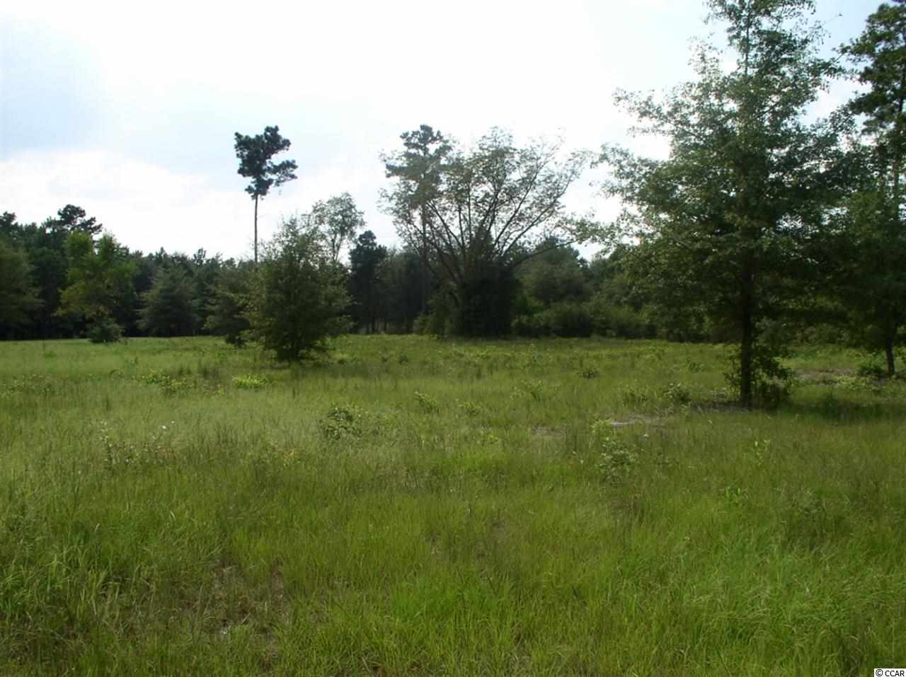 Lot 4 Red Bluff Road Loris, SC 29569 - Photo 6 of 15 Gallery Image 6