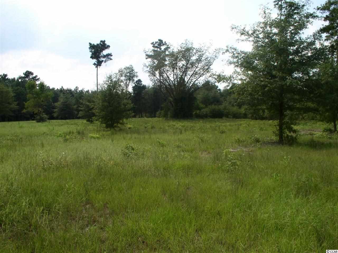 Lot 4 Red Bluff Road Loris, SC 29569 - Photo 7 of 15 Gallery Image 7