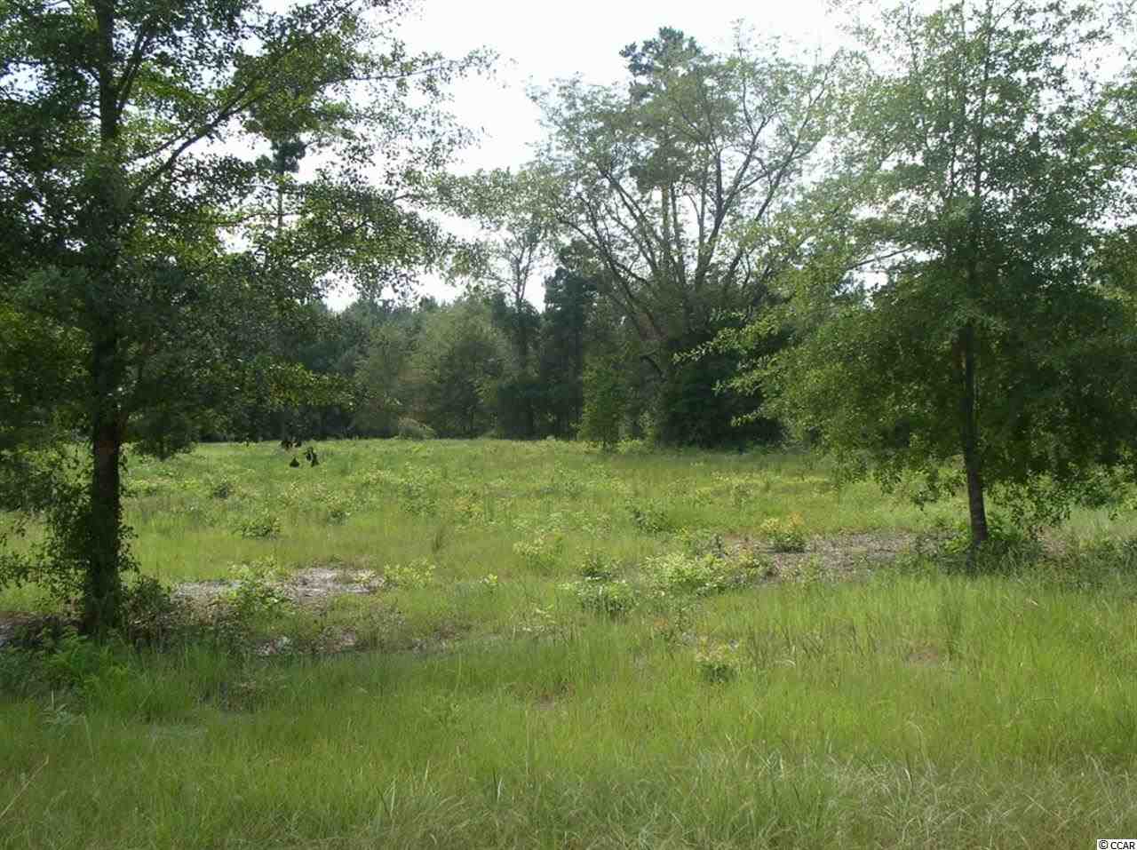 Lot 4 Red Bluff Road Loris, SC 29569 - Photo 8 of 15 Gallery Image 8