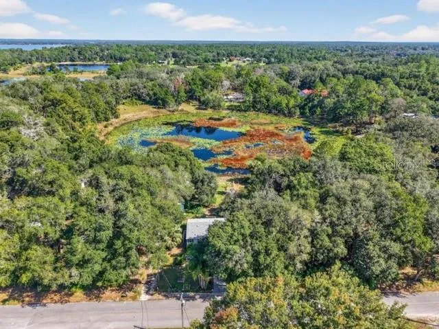a view of a city with lush green forest