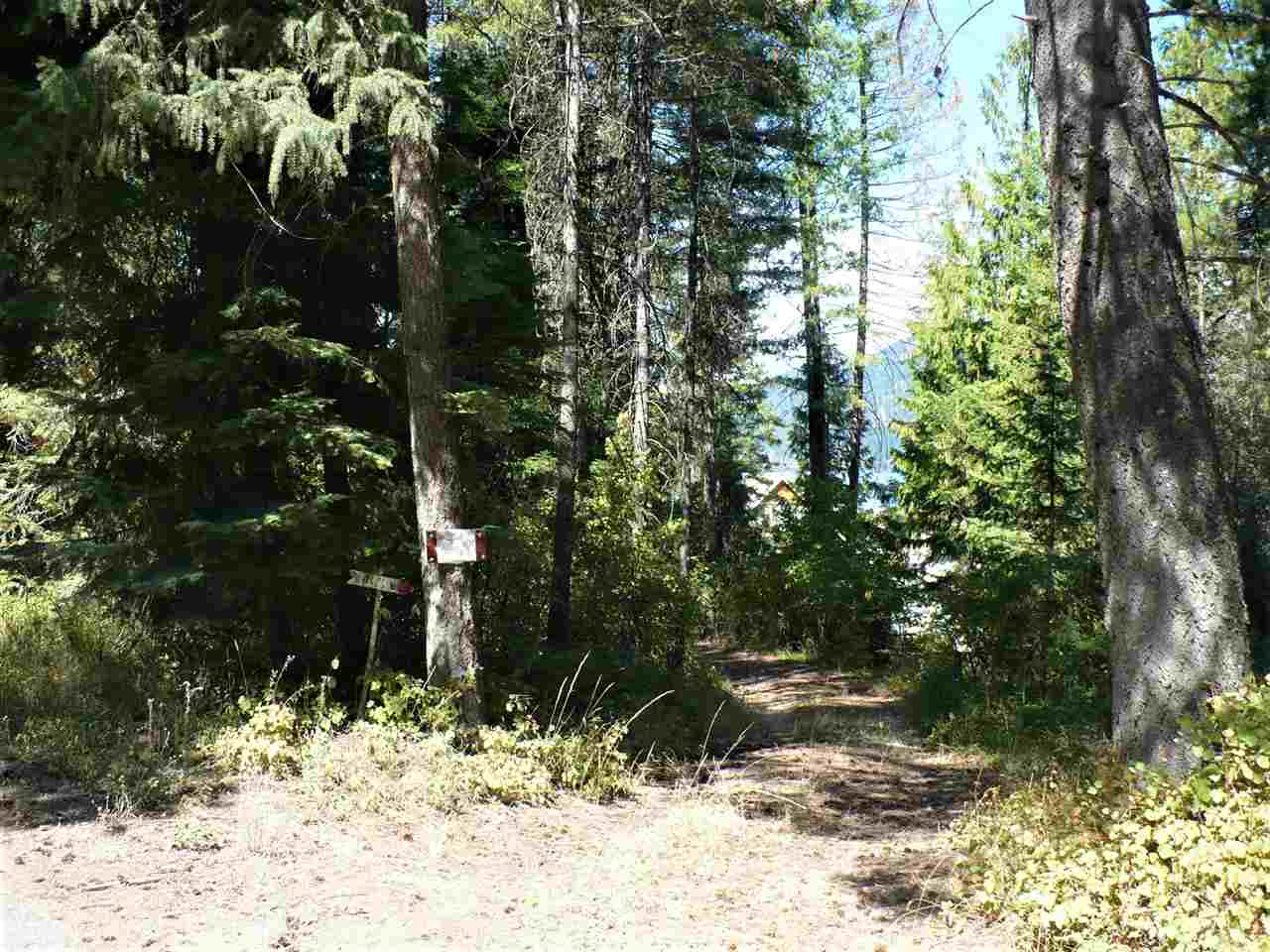 4177 Park Road Loon Lake, WA 99148 - Photo 14 of 20 Gallery Image 14
