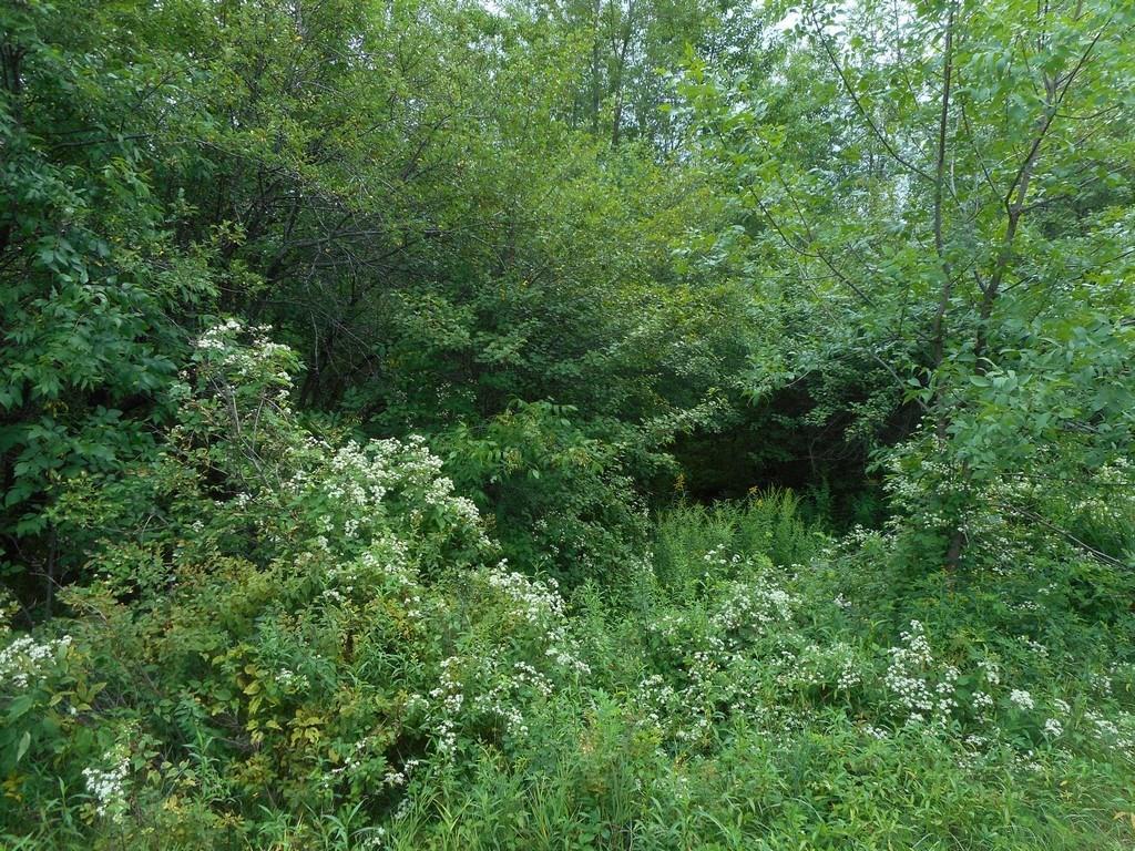2 French Settlement Road Milford, ME 04461 - Photo 11 of 16 Photo