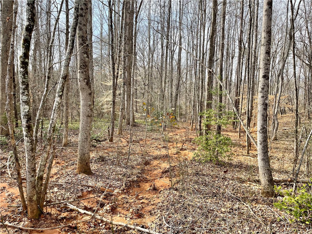 0 Rainbow Lake Road Campobello, SC 29322 - Photo 2 of 7