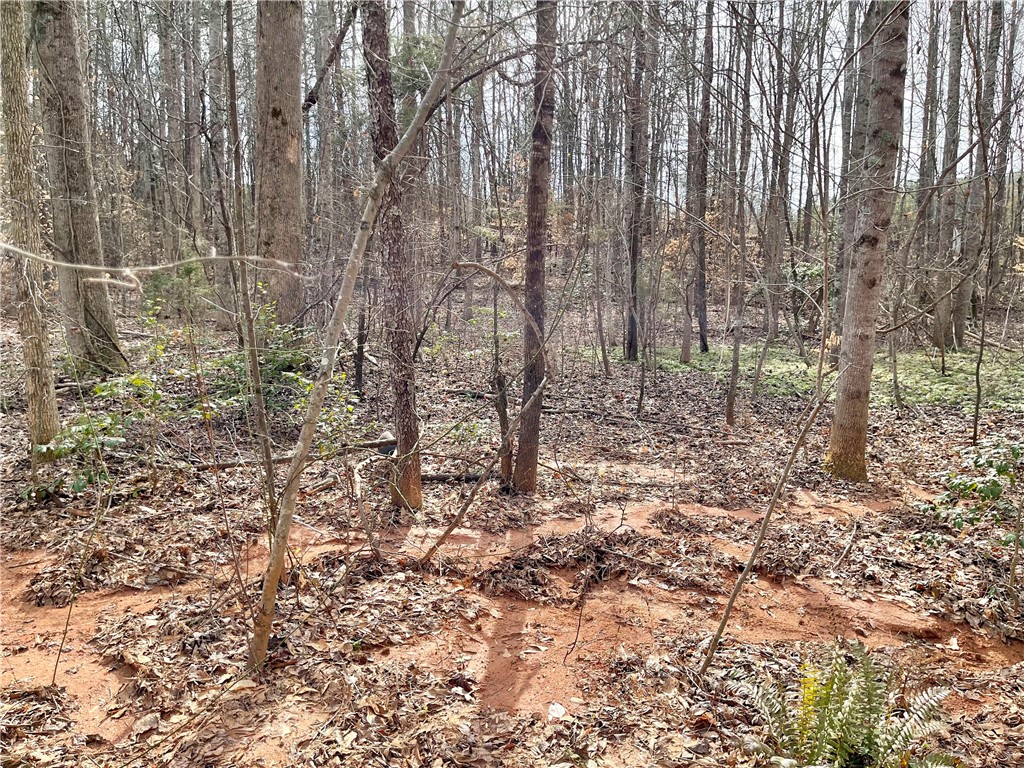 0 Rainbow Lake Road Campobello, SC 29322 - Photo 3 of 7